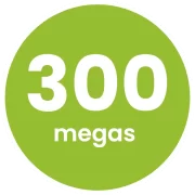 300a